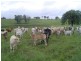 Lot 24  Gayndah/mt Perry Road, Mingo QLD 4625