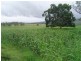 Lot 24  Gayndah/mt Perry Road, Mingo QLD 4625
