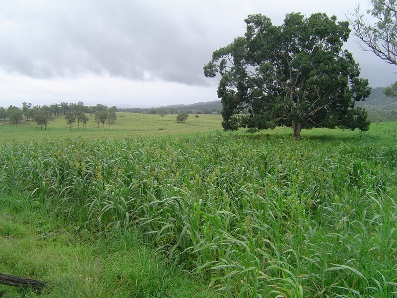 Lot 24  Gayndah/mt Perry Road, Mingo QLD 4625