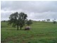 Lot 24  Gayndah/mt Perry Road, Mingo QLD 4625