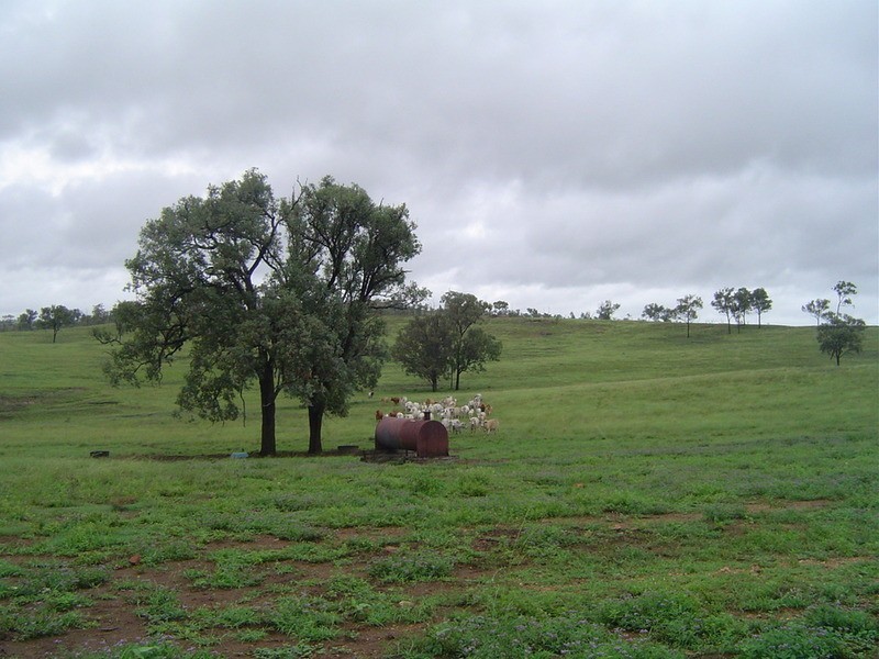 Lot 24  Gayndah/mt Perry Road, Mingo QLD 4625