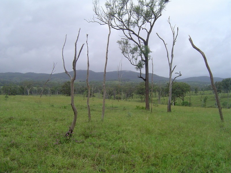 Lot 24  Gayndah/mt Perry Road, Mingo QLD 4625