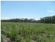 Lot 107 Voss Road, Childers QLD 4660