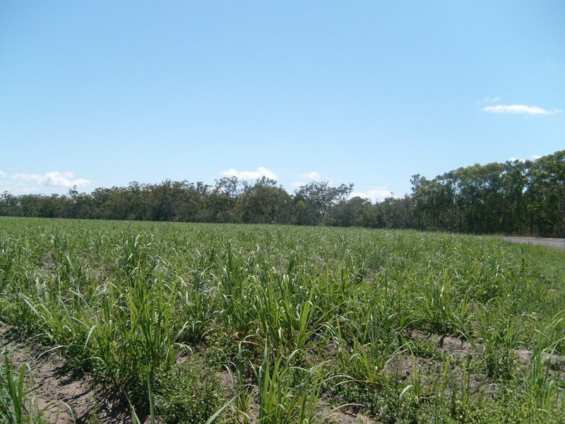Lot 107 Voss Road, Childers QLD 4660