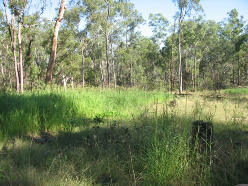 178 Stocks Road, Apple Tree Creek QLD 4660