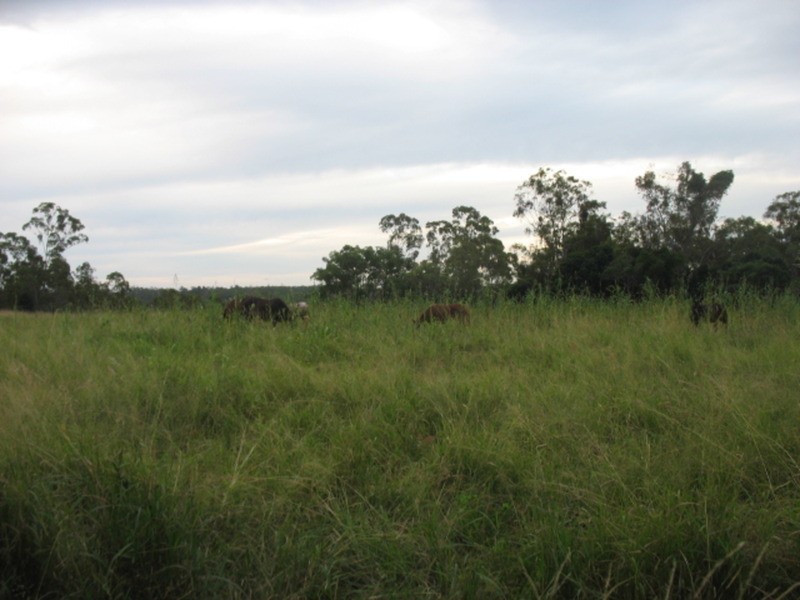 178 Stocks Road, Apple Tree Creek QLD 4660
