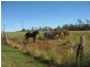 178 Stocks Road, Apple Tree Creek QLD 4660