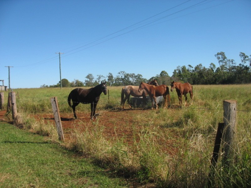 178 Stocks Road, Apple Tree Creek QLD 4660