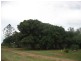 178 Stocks Road, Apple Tree Creek QLD 4660