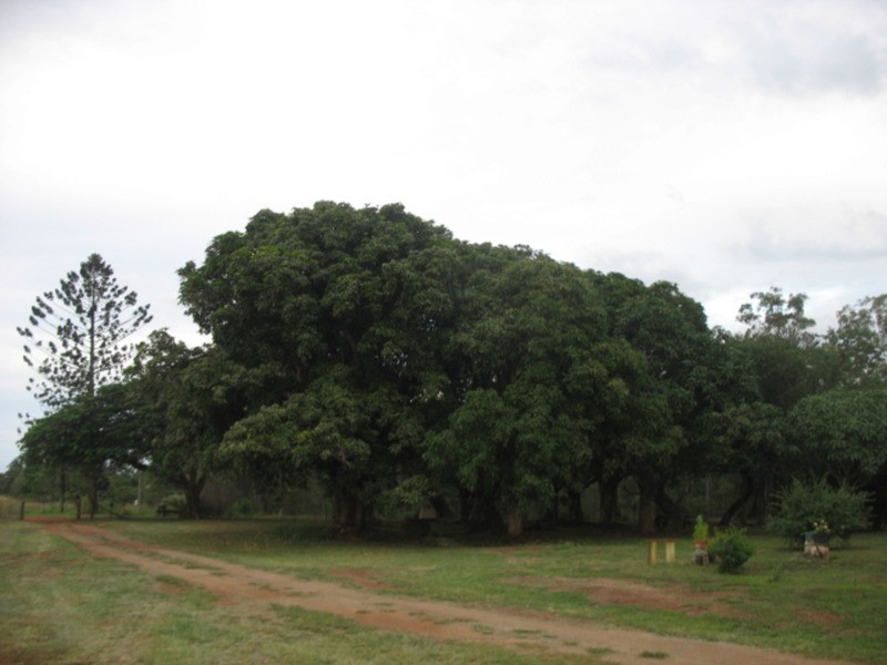 178 Stocks Road, Apple Tree Creek QLD 4660