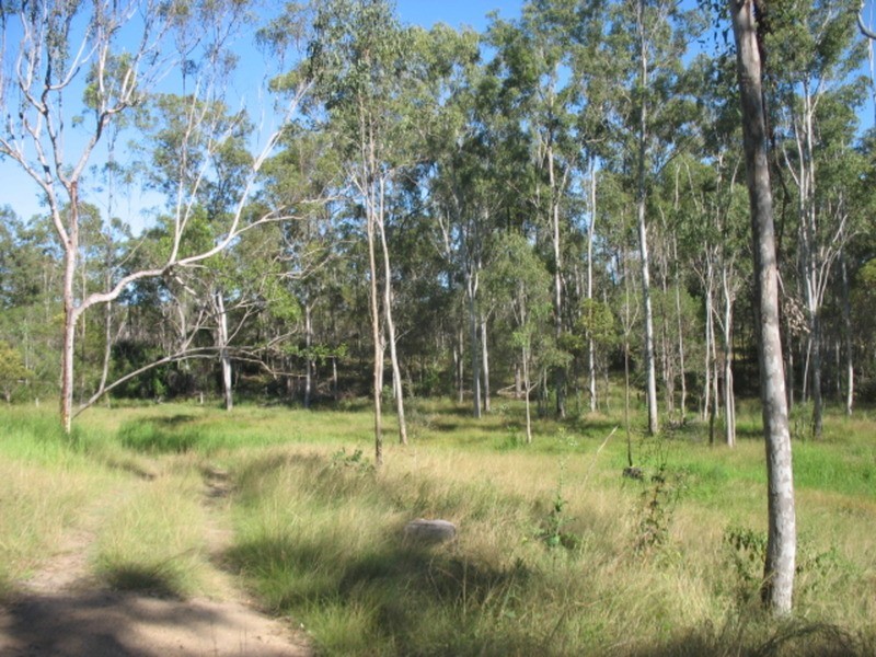 178 Stocks Road, Apple Tree Creek QLD 4660