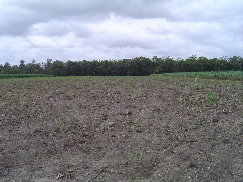 Lot 84 Dilgers Road, Childers QLD 4660