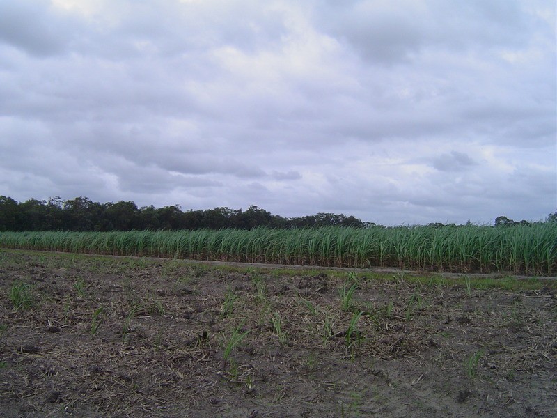 Lot 84 Dilgers Road, Childers QLD 4660