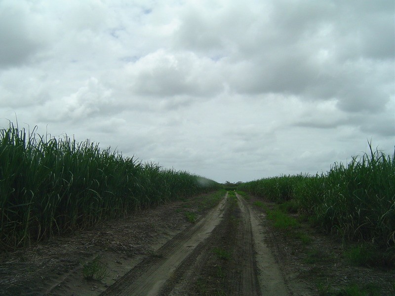 Lot 84 Dilgers Road, Childers QLD 4660