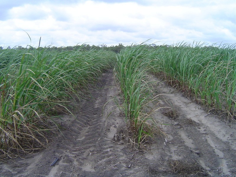 Lot 84 Dilgers Road, Childers QLD 4660