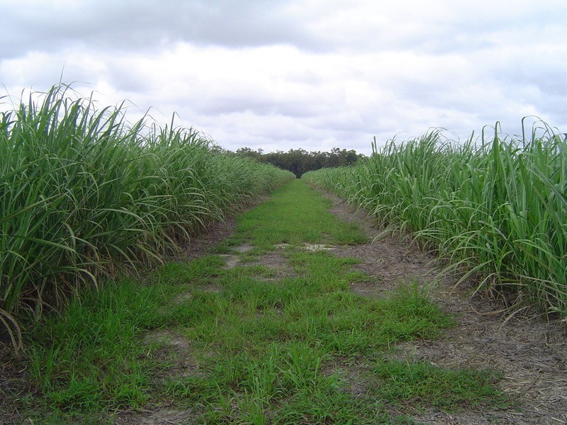Lot 84 Dilgers Road, Childers QLD 4660