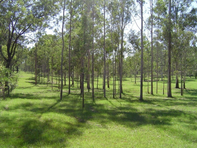 197 North South Road, Childers QLD 4660