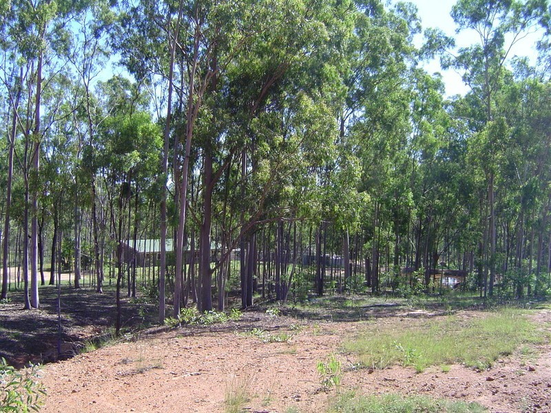 197 North South Road, Childers QLD 4660