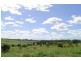 121 Butchers Road, Childers QLD 4660