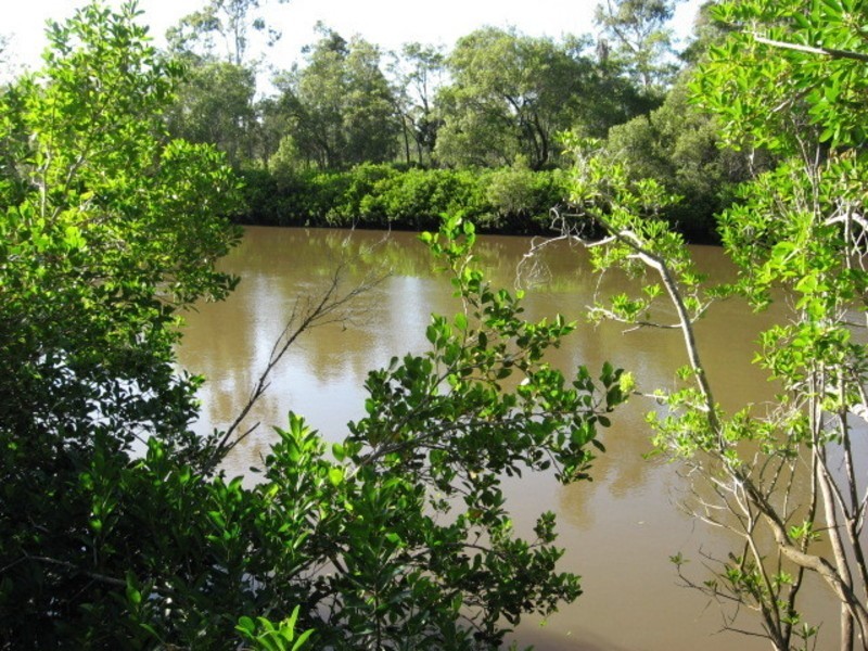 1454 Buxton Road, Buxton QLD 4660
