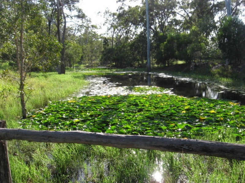 1454 Buxton Road, Buxton QLD 4660