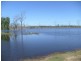 lot 8 Mittelheusers Road, Gin Gin QLD 4671