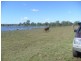lot 8 Mittelheusers Road, Gin Gin QLD 4671