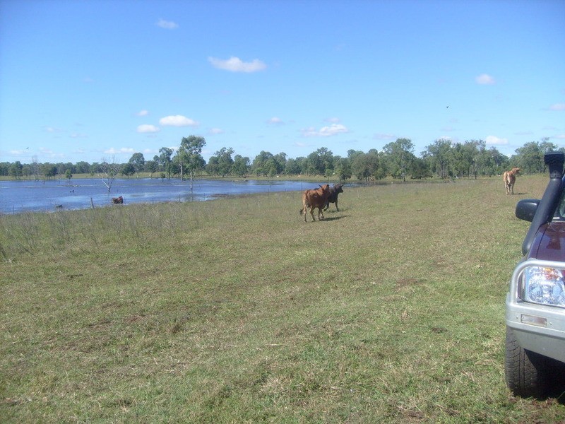 lot 8 Mittelheusers Road, Gin Gin QLD 4671