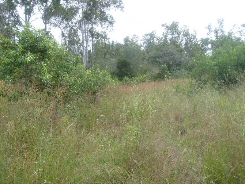 lot 8  RP 33457 Taruhl Road, Gin Gin NSW 2823