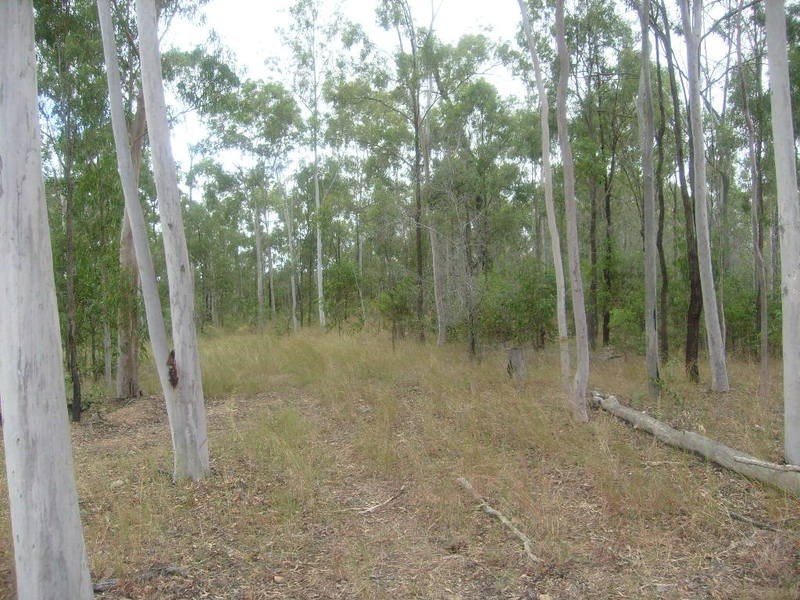 lot 8  RP 33457 Taruhl Road, Gin Gin NSW 2823