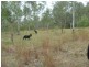lot 8  RP 33457 Taruhl Road, Gin Gin NSW 2823