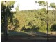 10 Lake View Drive, Apple Tree Creek QLD 4660