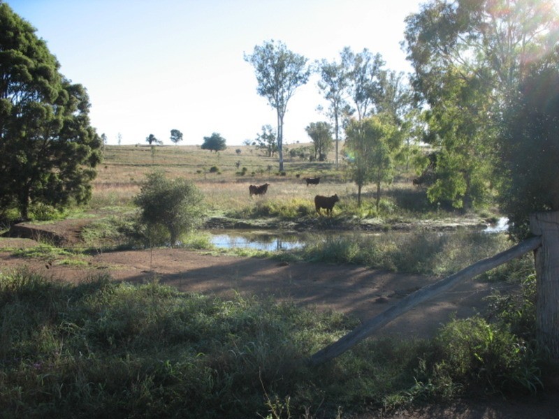 lot 79 North Dallarnil Road, Dallarnil QLD 4621