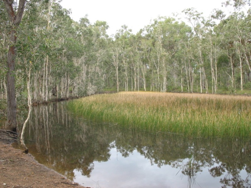 145  Aerodrome Road, Isis River QLD 4660