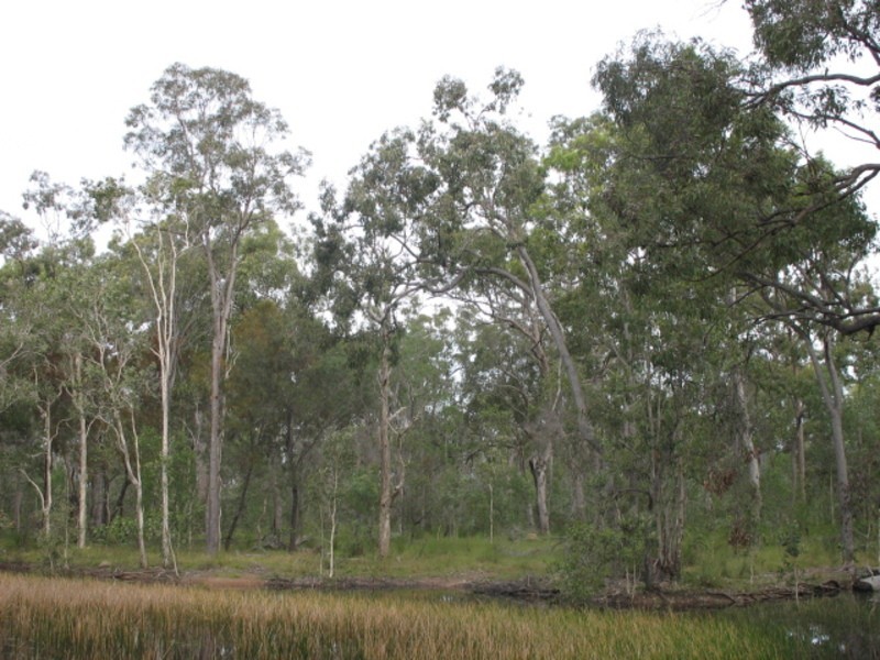 145  Aerodrome Road, Isis River QLD 4660