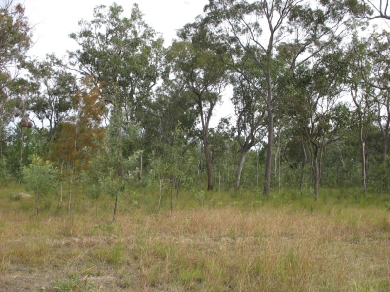 145  Aerodrome Road, Isis River QLD 4660