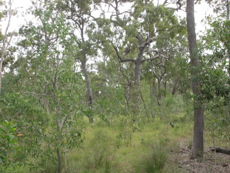145  Aerodrome Road, Isis River QLD 4660
