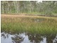 145  Aerodrome Road, Isis River QLD 4660