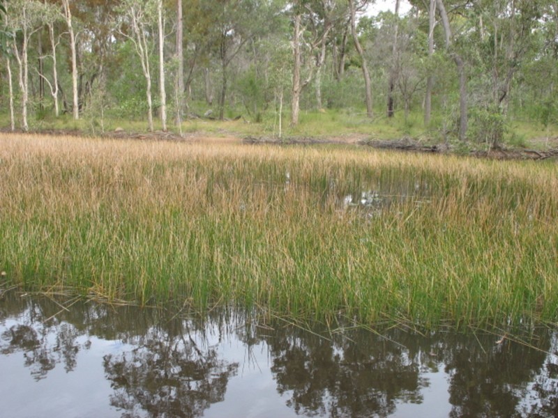 145  Aerodrome Road, Isis River QLD 4660