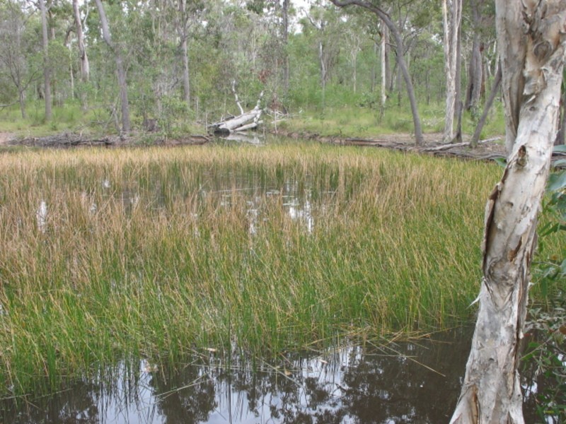 145  Aerodrome Road, Isis River QLD 4660