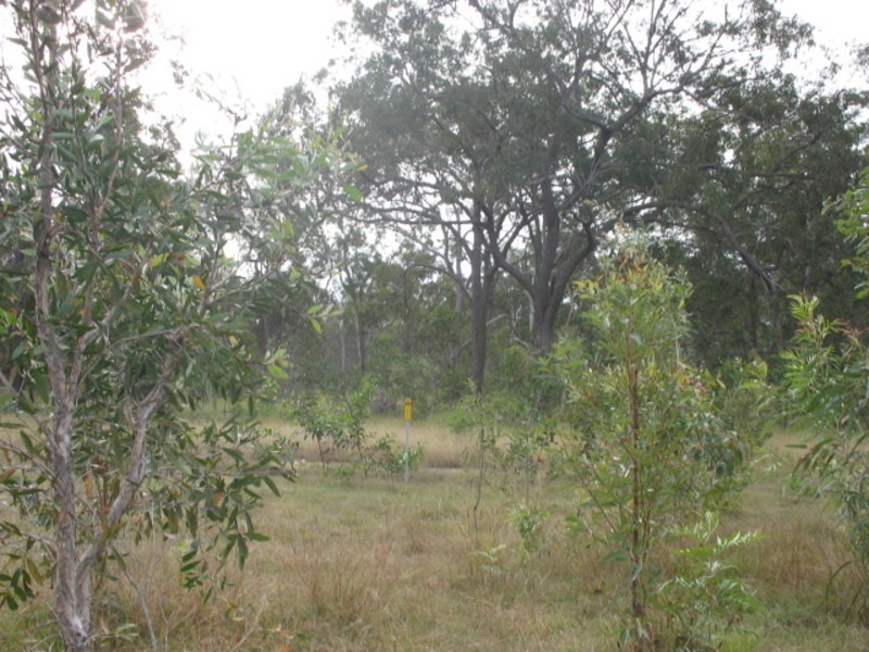 145  Aerodrome Road, Isis River QLD 4660