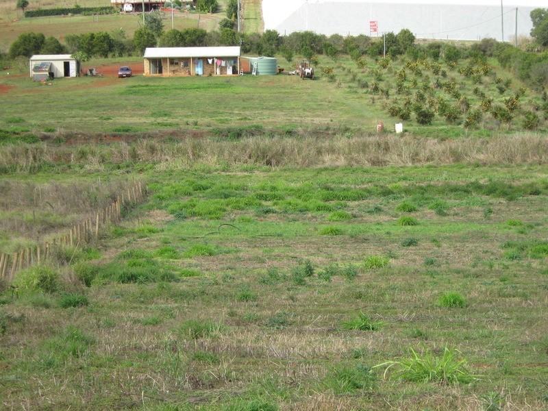 114 Butchers Road, South Isis QLD 4660