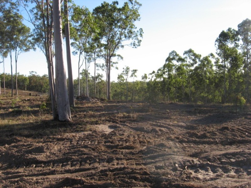 405 Berries Road, Eureka QLD 4660