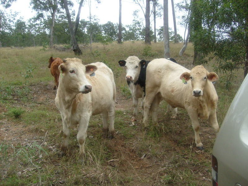 85 McIlwraith Road, Gin Gin QLD 4671