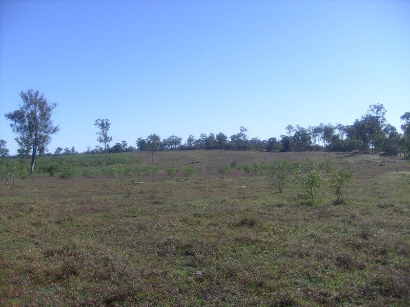 115 Berries Road, Childers QLD 4660