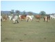 115 Berries Road, Childers QLD 4660