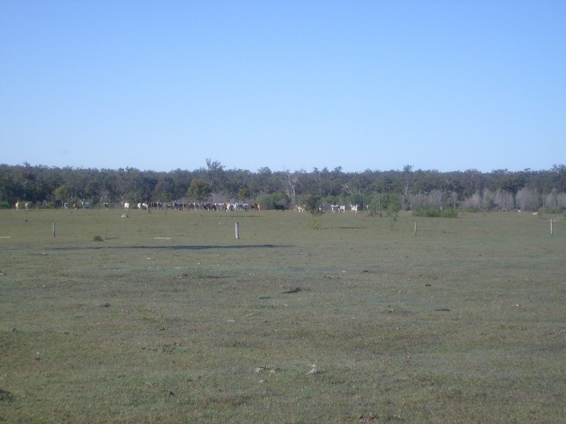 115 Berries Road, Childers QLD 4660