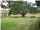 18 Huxley Road, Childers QLD 4660