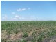 Lot 89 McCarthys Road, North Gregory QLD 4660