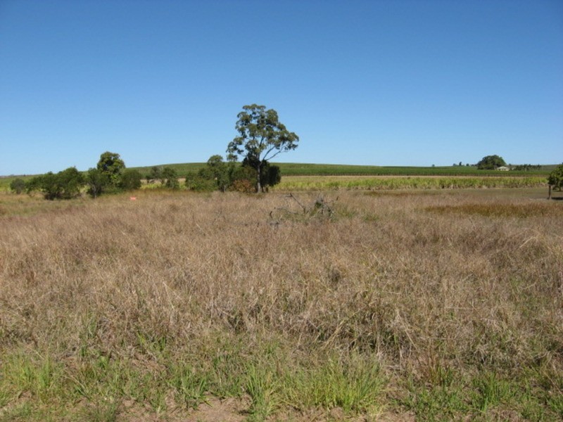 lot 12 Eddington Road, Morganville QLD 4671